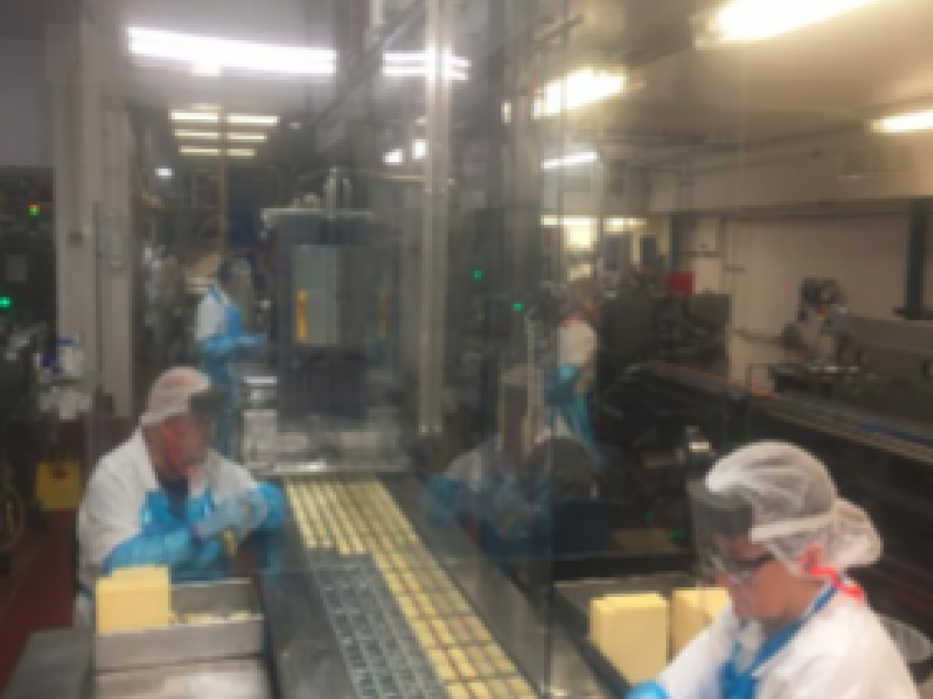 InQuinte.ca Belleville cheese production facility stepping up worker