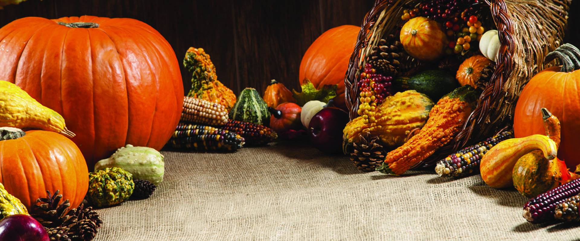 INQUINTE.CA | Thanksgiving Day Quiz