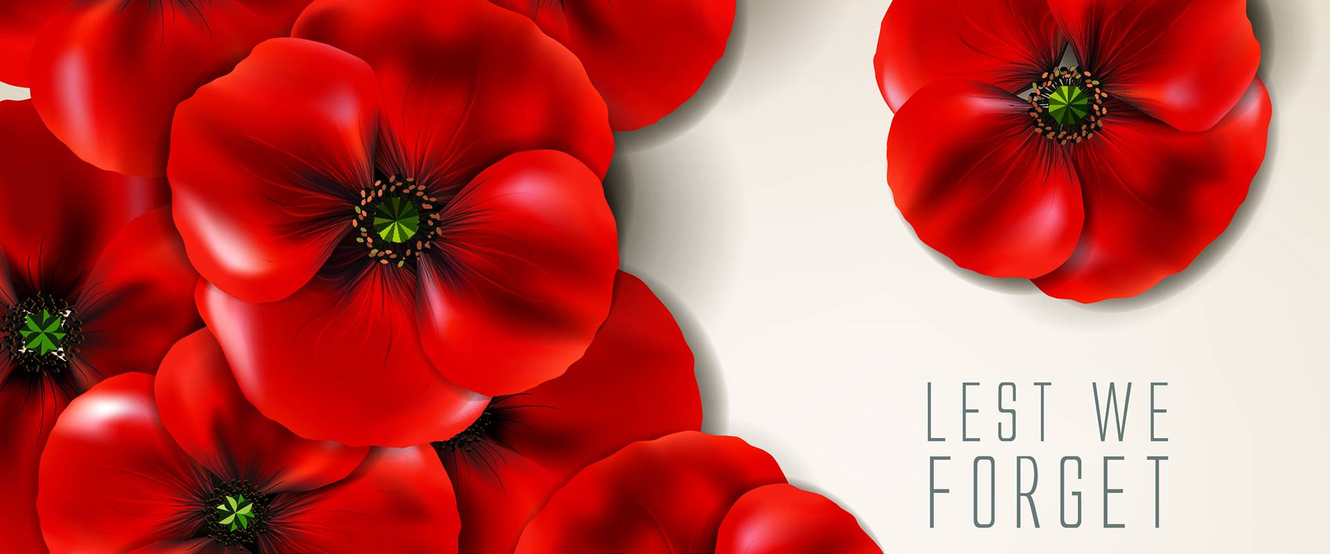 INQUINTE.CA Remembrance Day ceremonies in Quinte