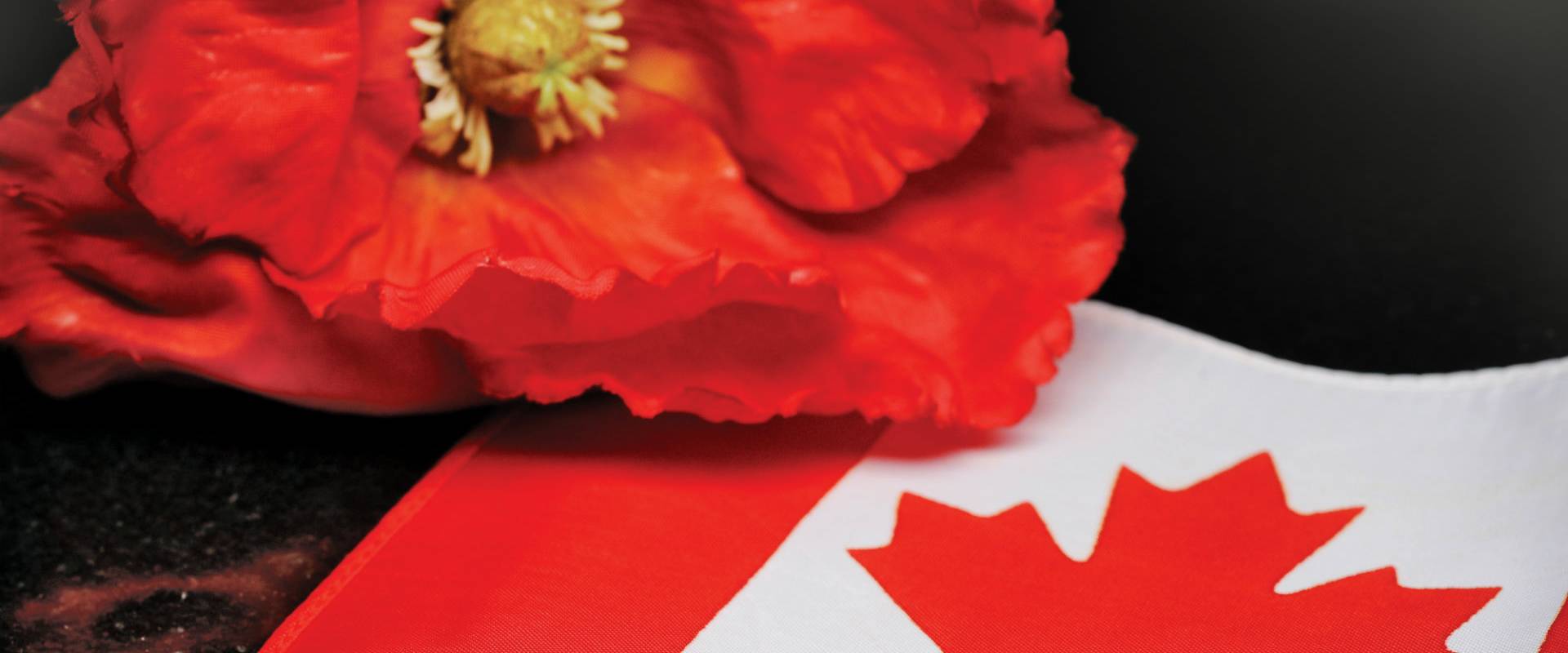 INQUINTE.CA Remembrance Day Ceremonies In Quinte